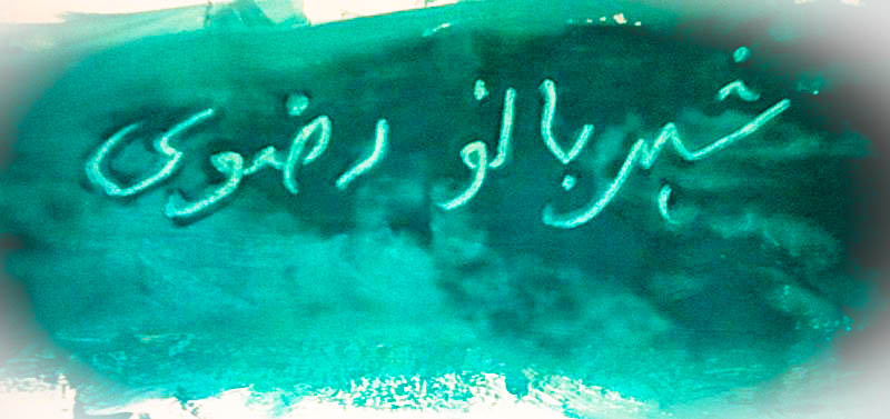 The Pakistani Dream – DIARY OF A PMP MOM