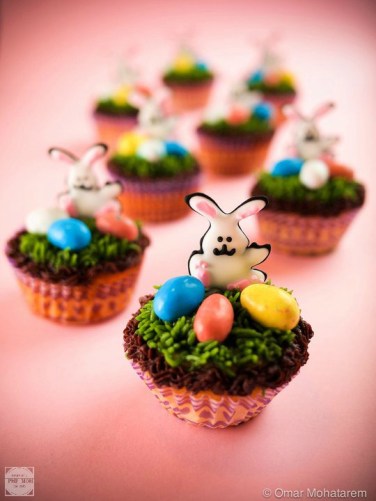 223120_141673649239008_166728_n