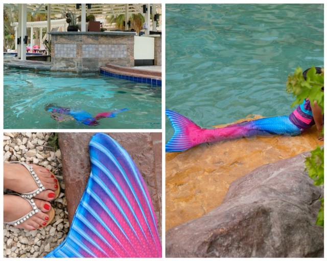 MermaidspottingatRitz