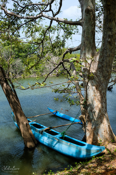 Canoe Lake Srilanka .jpg