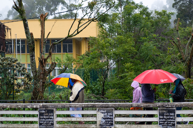 Monsoon rain in Nuwara Eliya.jpg
