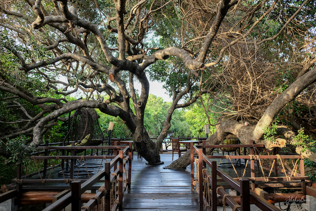 Srilanka DSCF0424.jpg