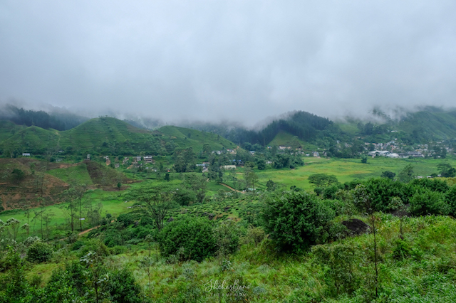 Srilanka Landscape 4 .jpg