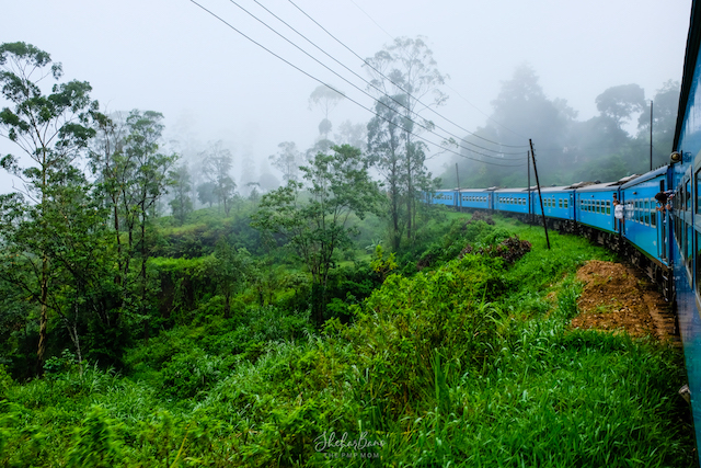 Srilanka Train Ride.jpg